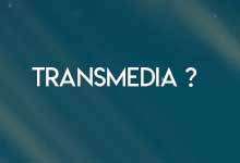 What is transmedia fiction ?